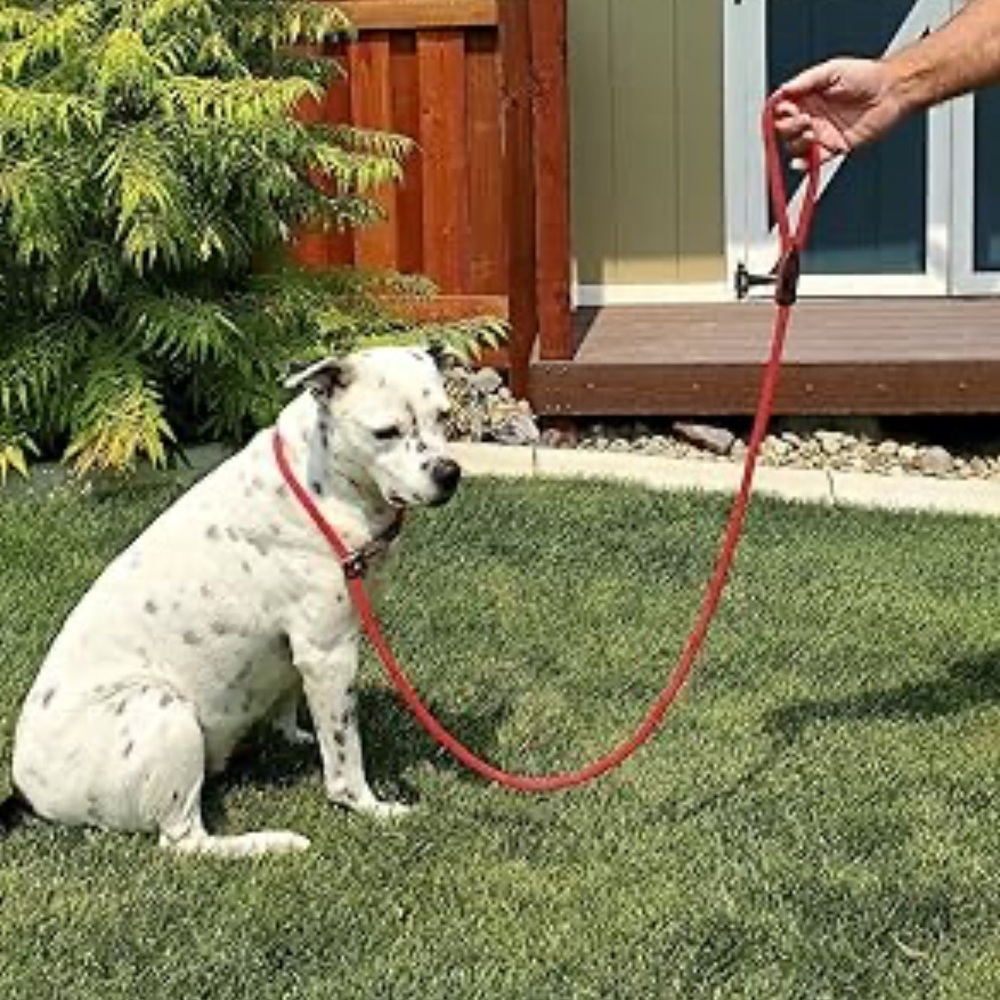 NEW OmniPet British Rope 6” Slip Lead for Dogs - Red (XS)